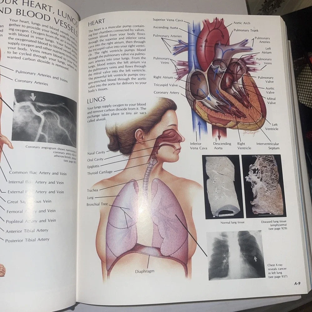 MAYO CLINIC FAMILY HEALTH BOOK Illustrated Home Medical Reference HCDJ 1990 XLNT